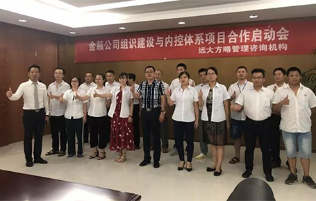 蓄力再發(fā)，金籟科技攜手遠大方略落地管理咨詢項目